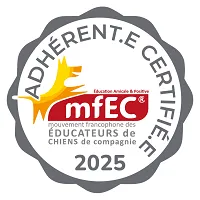 MFEC