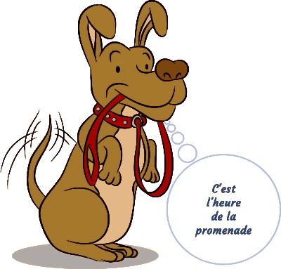 Promenade éducative collective